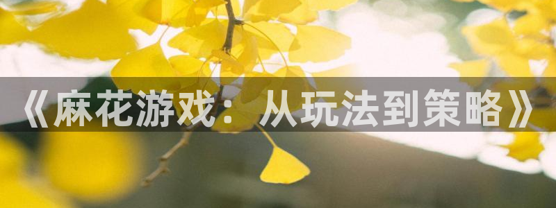 杏盛娱乐平台注册登录