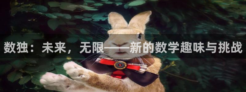 杏盛主管是谁：数独：未来，无限——新的数学趣味与挑战