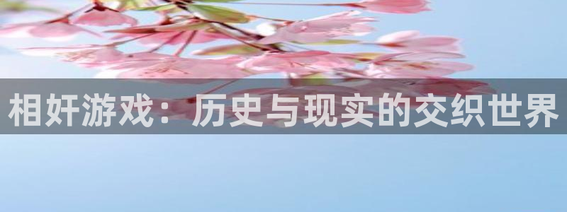 杏盛注册平台：相奸游戏：历史与现实的交织世界
