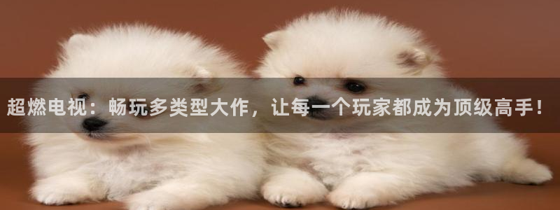 杏盛登录地址：超燃电视：畅玩多类型大作，让每一个玩家都成为顶