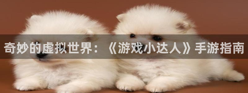 杏盛娱乐平台注册登录：奇妙的虚拟世界：《游戏小达人》手游指南