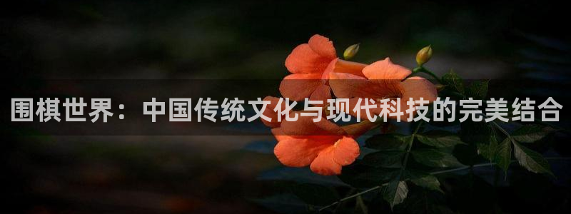 杏盛平台代理：围棋世界：中国传统文化与现代科技的完美结合