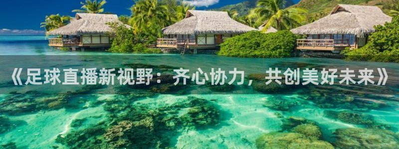 nba直播 看球吧：《足球直播新视野：齐心协力，共创美好未来》