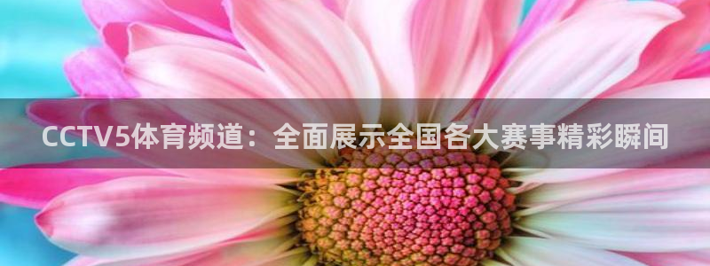 足球直播看球吧