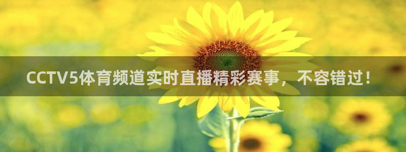 看球吧体育直播平台