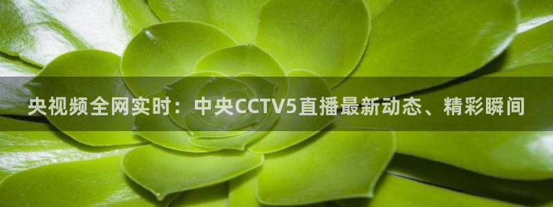 看球吧nba在线高清免费直播：央视频全网实时：中央CCTV5直播最新动态、精彩瞬间