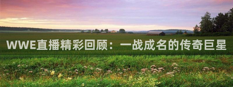 看球吧直播入口：WWE直播精彩回顾：一战成名的传奇巨星