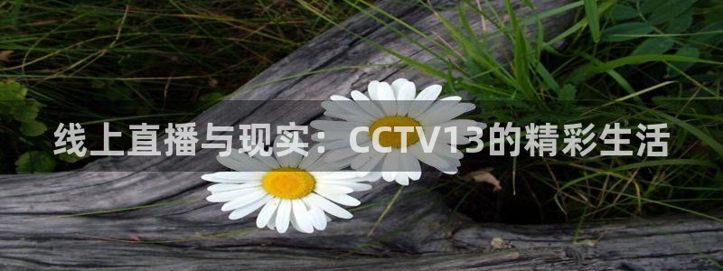 爱看球吧jrs直播：线上直播与现实：CCTV13的精彩生活