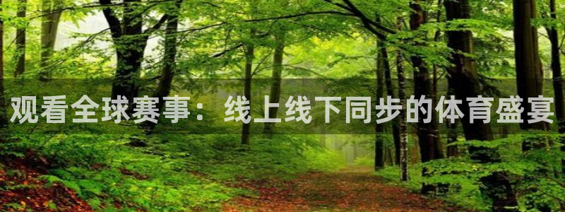 cba直播看球吧：观看全球赛事：线上线下同步的体育盛宴