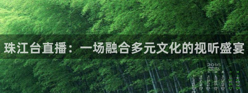 看球吧nba在线高清免费：珠江台直播：一场融合多元文化的视听盛宴