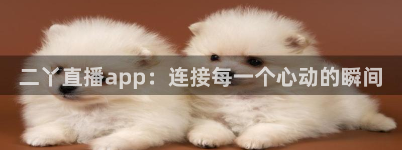 nba直播看球吧：二丫直播app：连接每一个心动的瞬间